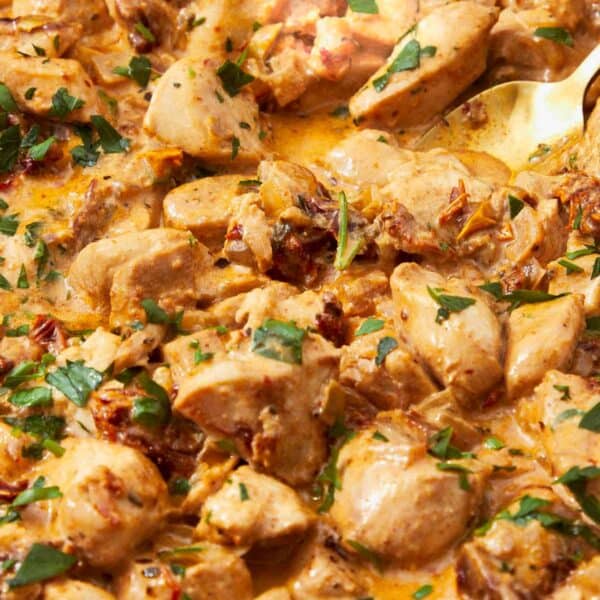 Golden spoon scooping creamy Greek Yogurt Chicken with sun-dried tomatoes and fresh parsley from a rich, velvety sauce.