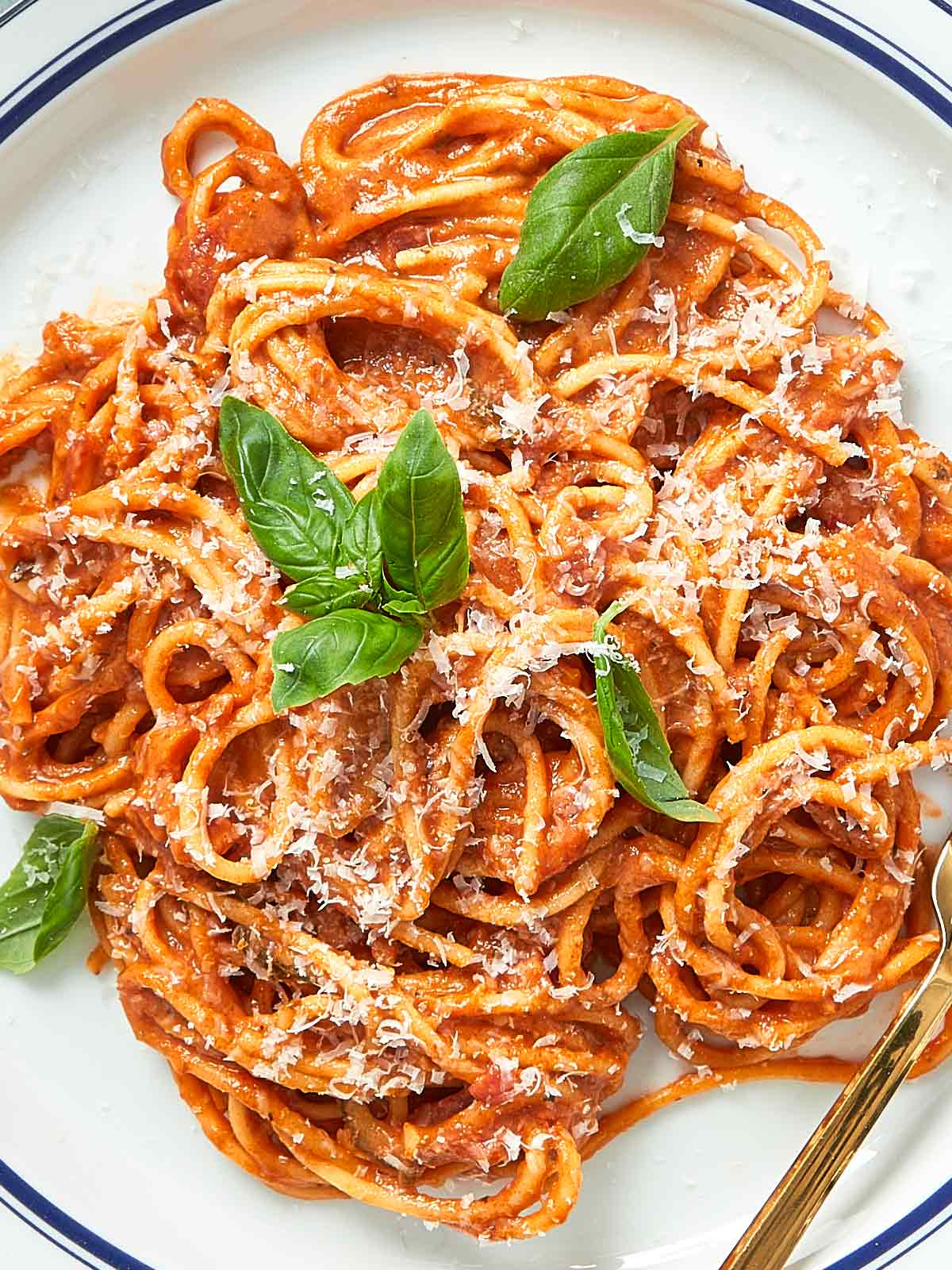 Close-up of a plate of creamy tomato pasta with fresh basil and parmesan served in a white dish.