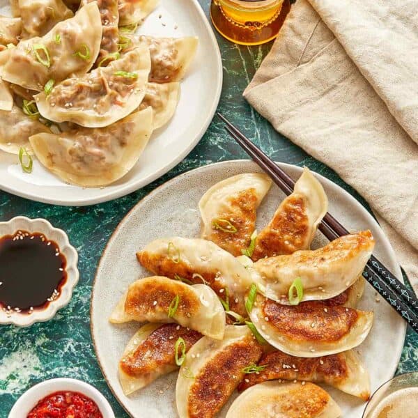 Chinese dumplings with dipping sauce.