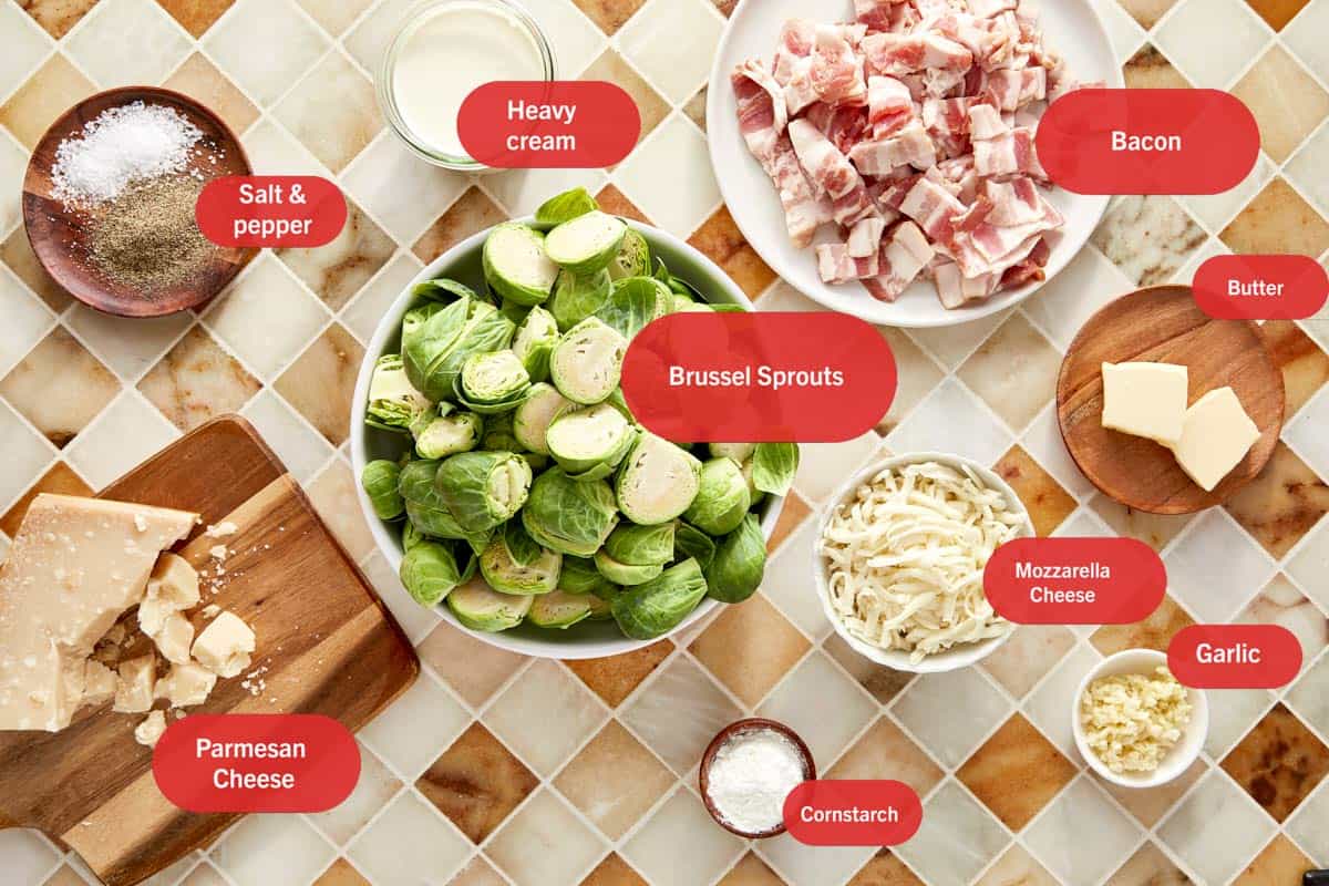 Flat lay of ingredients for creamy garlic parmesan Brussels sprouts with bacon.