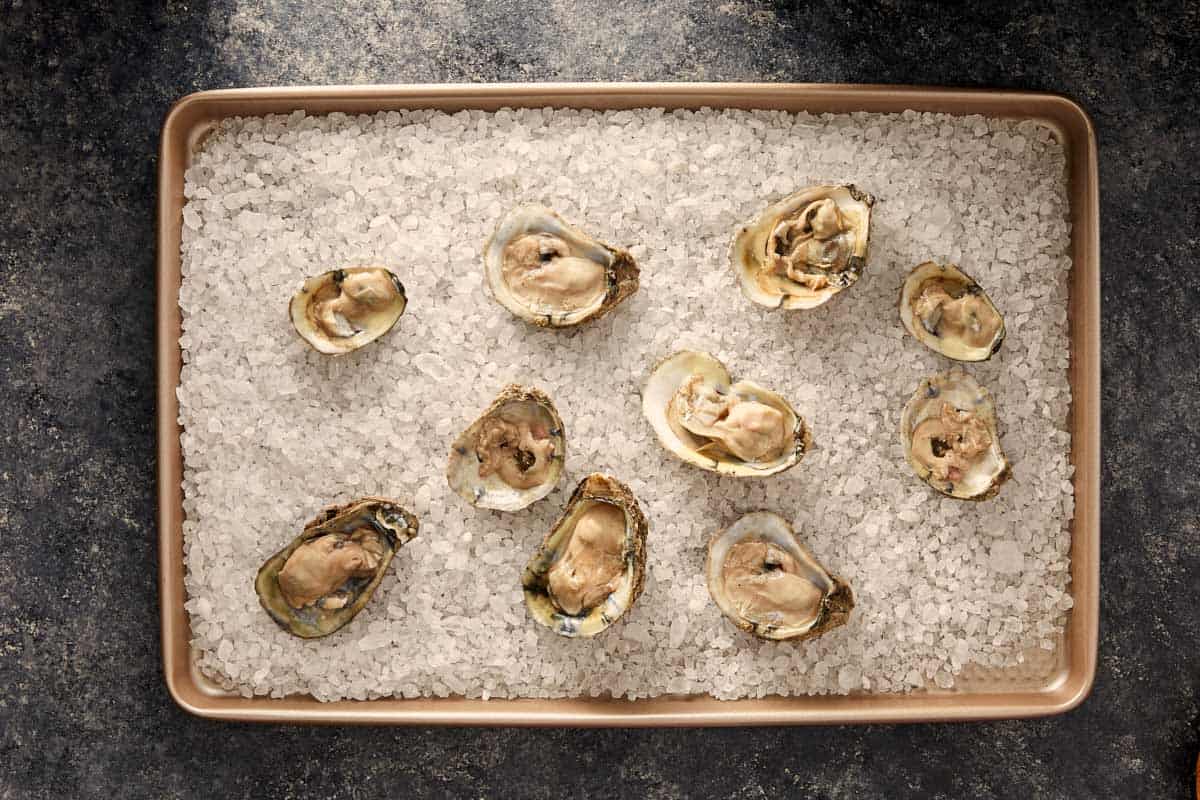 Raw oysters on the half shell arranged on a baking tray with rock salt.