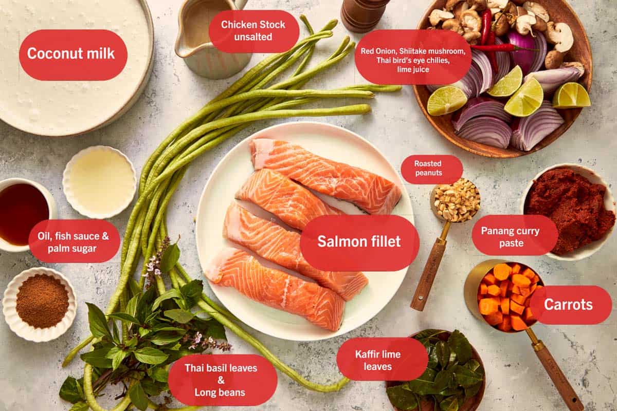Flat lay of ingredients for Salmon Panang Curry, including salmon fillets, coconut milk, Panang curry paste, kaffir lime leaves, long beans, carrots, red onion, Thai basil, and roasted peanuts.