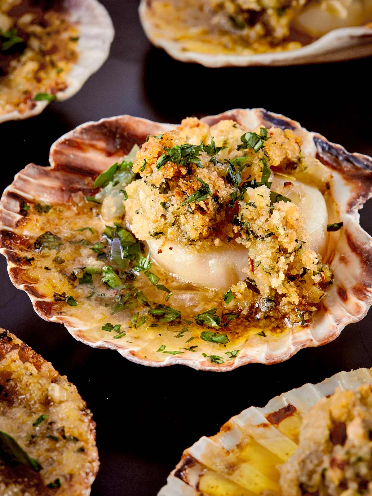 Close-up of scallops baked in their shells, topped with golden garlic parsley butter and crispy breadcrumbs.