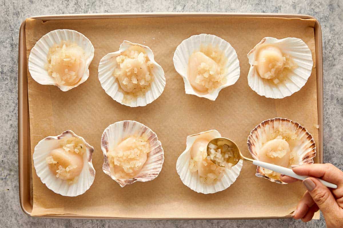 Placing scallops in shells on a baking tray and spooning the wine-onion mixture over each one.