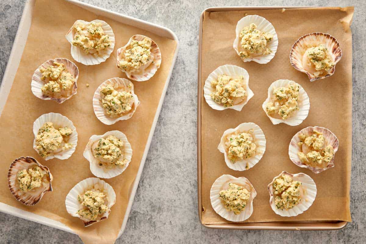 Trays of scallops prepared with garlic parsley butter, ready to go into the oven.