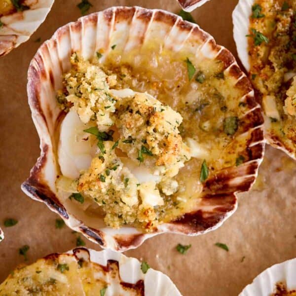 Baked scallops gratin served in their shells, topped with golden breadcrumbs, fresh parsley, and melted garlic butter.