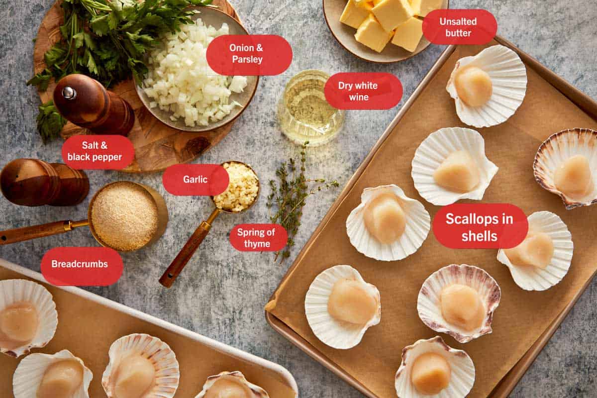 Overhead view of ingredients for Scallops Gratin with Garlic Parsley Butter, including scallops in shells, butter, garlic, parsley, onion, breadcrumbs, thyme, and white wine.
