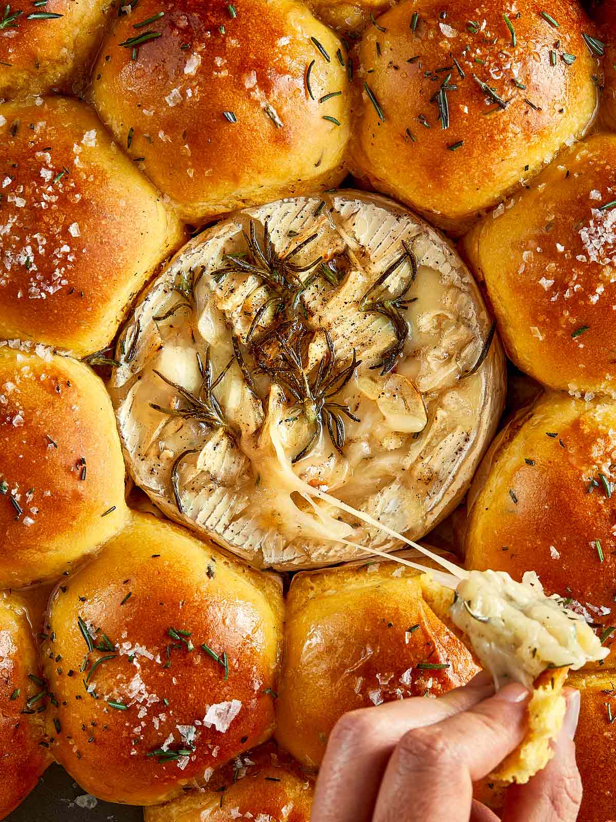 close up shot of baked camembert and freshly baked bread