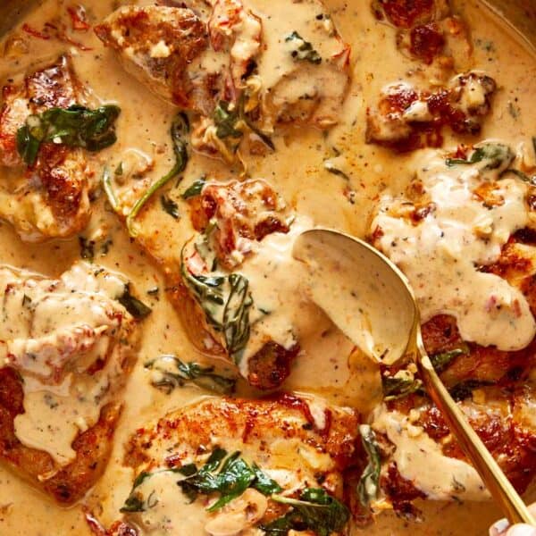 a close up shot with a spoon top down of a creamy brown sauce and golden baked chicken swimming in the sauce