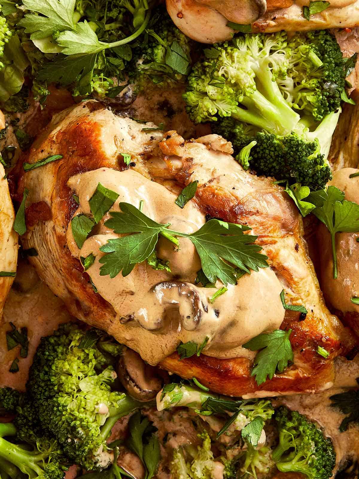 Julia Child's Creamy Chicken + Mushroom