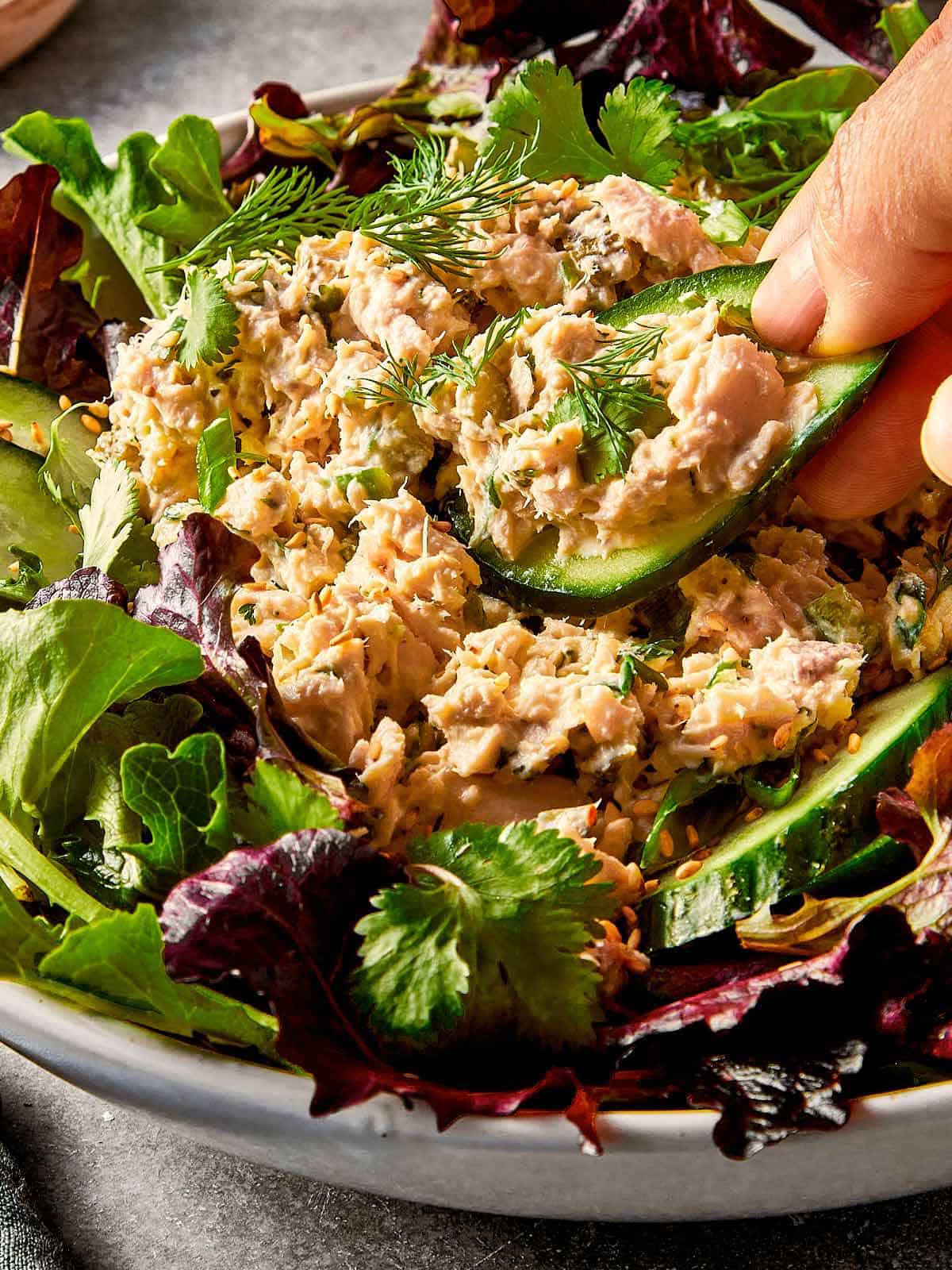 tuna salad for one served over greens with cucumber slices used for scooping