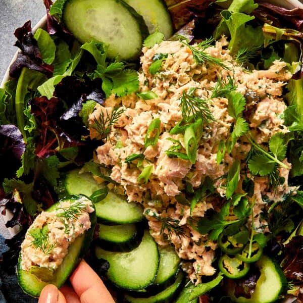 tuna salad for one served over greens with cucumber slices used for scooping