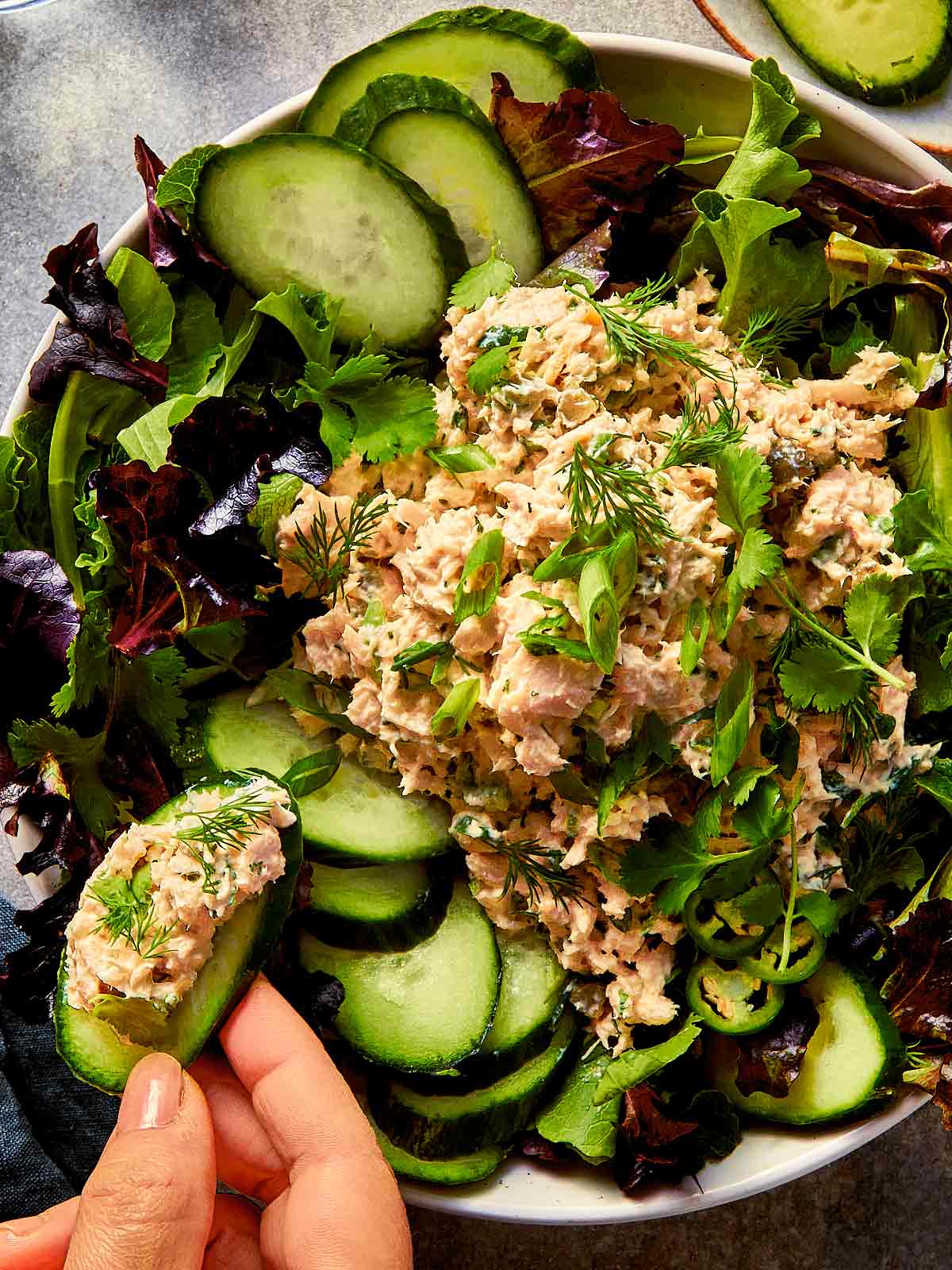 tuna salad for one served over greens with cucumber slices used for scooping